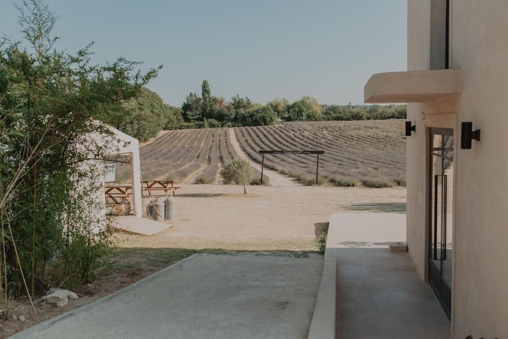 Terre Ugo - Studio Campagne Aixoise #6 Aix-en-Provence Eksteriør billede