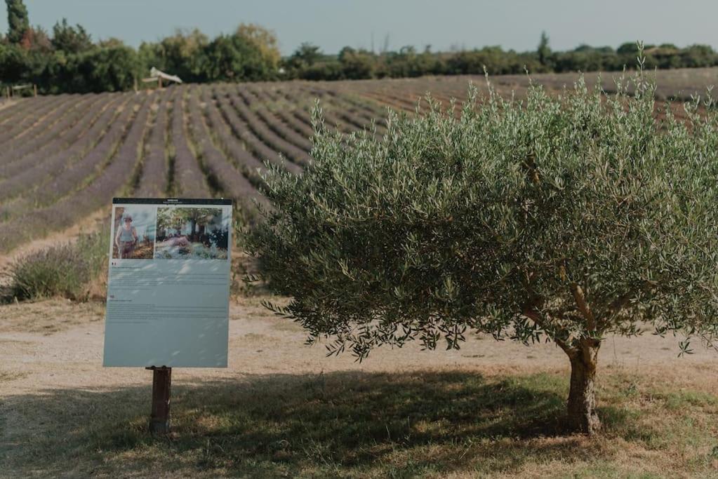 Terre Ugo - Studio Campagne Aixoise #6 Aix-en-Provence Eksteriør billede